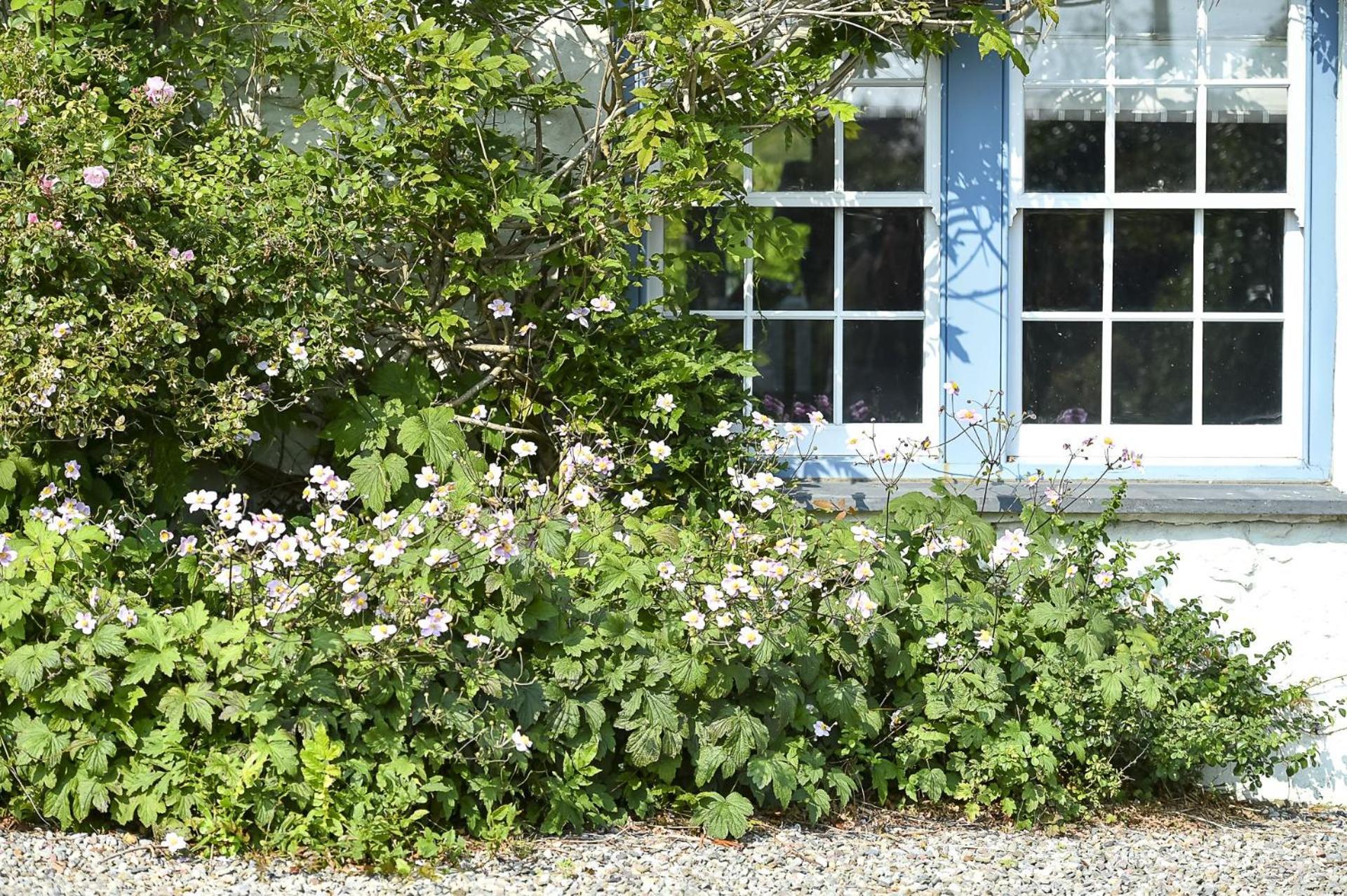 Pen Y Bryn Βίλα Abersoch Εξωτερικό φωτογραφία