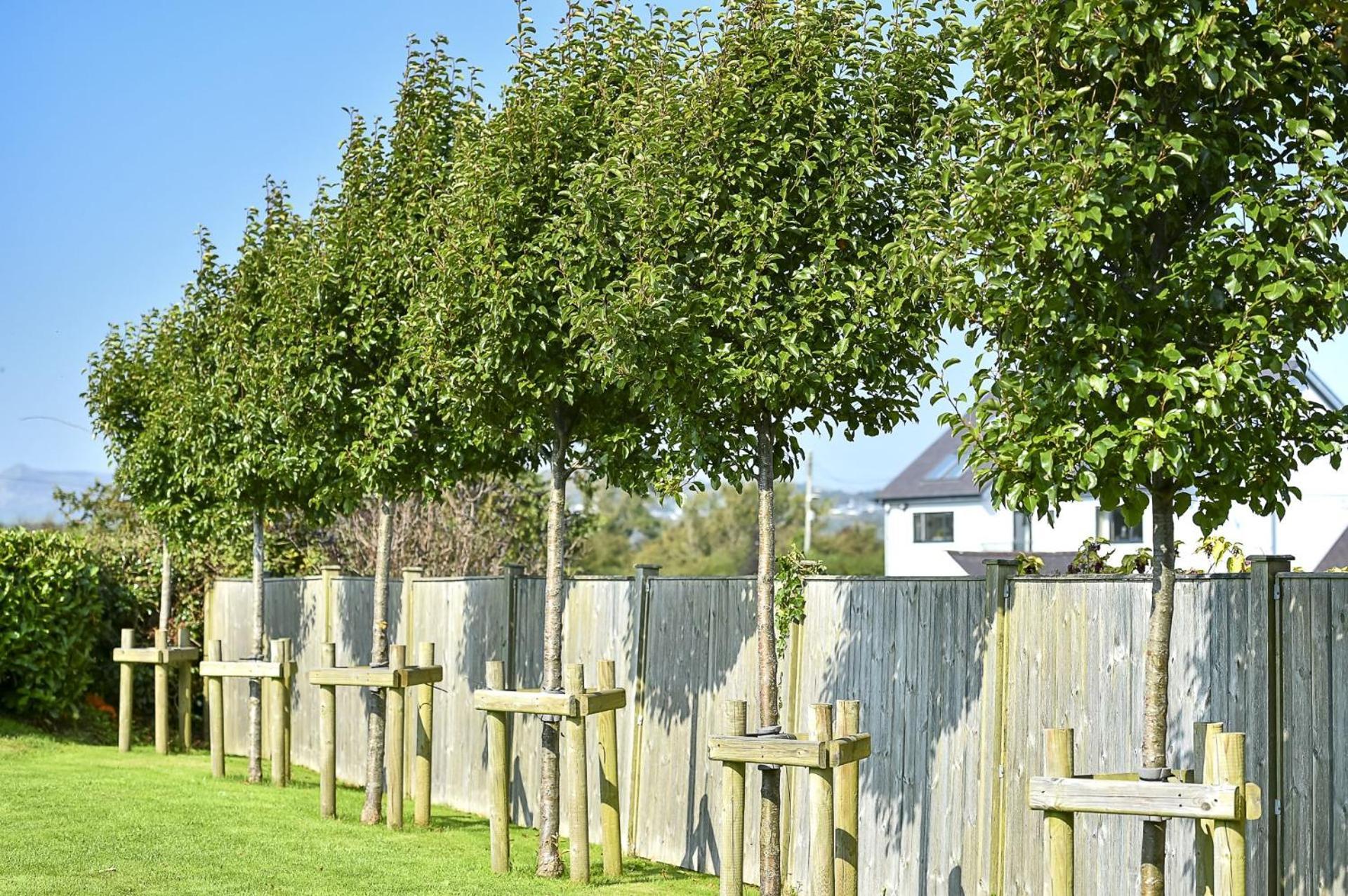 Pen Y Bryn Βίλα Abersoch Εξωτερικό φωτογραφία